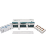 H&W COVID-19 (SARS-CoV-2) pikatesti, 5 kpl