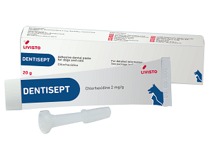 Dentisept hammasgeeli 20 g